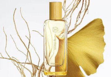 Hermès Ginseng Biloba