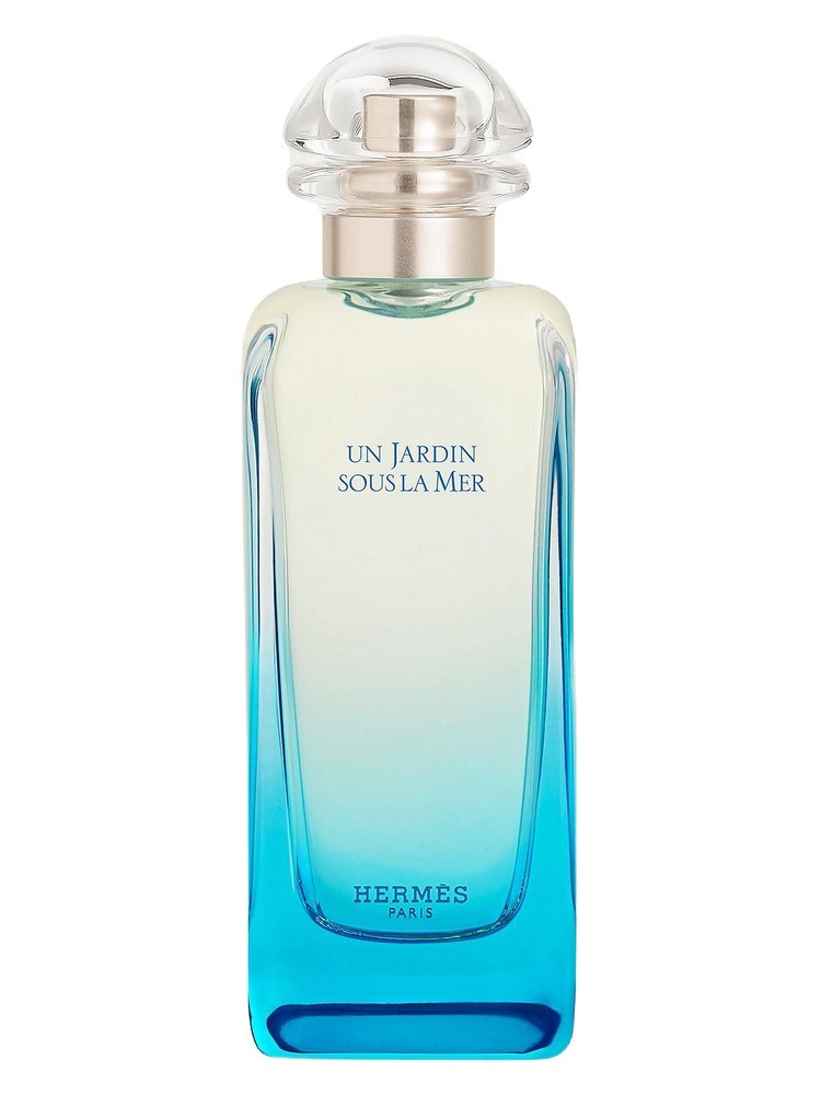 Hermes Un Jardin Sous la Mer